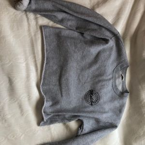 cropped sweatshirt